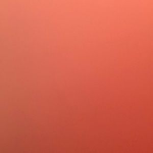 Meet your Posher, Gab